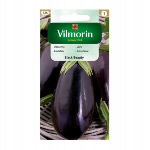 Nasiona Oberżyna Black Beauty 2 g Vilmorin Bakłażan Nasiona Oberżyna Black Beauty 2 g Vilmorin Bakłażan
