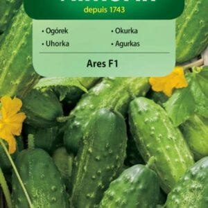 Nasiona Ogórek gruntowy średnio-późny Ares F1 3 g Vilmorin Nasiona Ogórek gruntowy średnio-późny Ares F1 3 g Vilmorin
