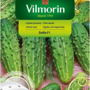 Nasiona na taśmie 7 m Ogórek Dalila Vilmorin Nasiona na taśmie 7 m Ogórek Dalila Vilmorin