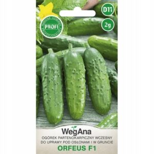Nasiona Ogórek wczesny Orfeus F1 Partenokarpiczny 2 g Wegana Nasiona Ogórek wczesny Orfeus F1 Partenokarpiczny 2 g Wegana