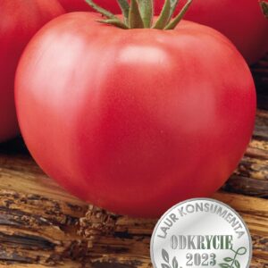 Nasiona Pomidor malinowy karłowy słodki Maliniak 0,5 g Wegana Nasiona Pomidor malinowy karłowy słodki Maliniak 0,5 g Wegana