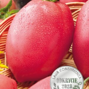 Nasiona Pomidor malinowy karłowy słodki Malinowy Bosman 0,5 g Wegana Nasiona Pomidor malinowy karłowy słodki Malinowy Bosman 0,5 g Wegana