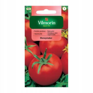 Nasiona Pomidor wczesny Moneymaker 0,5 g Vilmorin pomidor gruntowy Nasiona Pomidor wczesny Moneymaker 0,5 g Vilmorin pomidor gruntowy