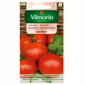 Nasiona Pomidor Saint Pierre 1 g Vilmorin gruntowy karłowy Nasiona Pomidor Saint Pierre 1 g Vilmorin gruntowy karłowy