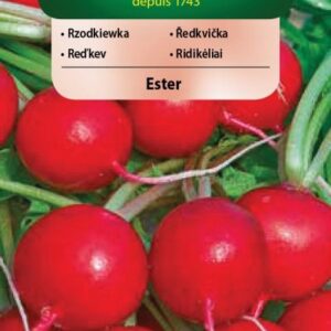 Nasiona Rzodkiewka Ester wczesna okrągła 5 g Vilmorin