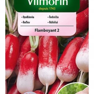 Nasiona Rzodkiewka Flamboyant podłużna otoczkowana 300n Vilmorin Nasiona Rzodkiewka Flamboyant podłużna otoczkowana 300n Vilmorin