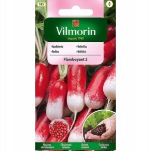 Nasiona Rzodkiewka Flamboyant podłużna 5g Vilmorin