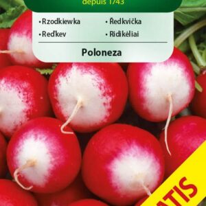 Nasiona Rzodkiewka Poloneza okrągła 7,5 g Vilmorin Nasiona Rzodkiewka Poloneza okrągła 7,5 g Vilmorin