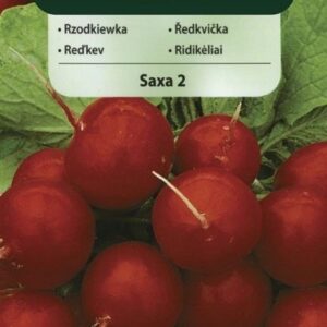 Nasiona Rzodkiewka okrągła Saxa 10 g Vilmorin Nasiona Rzodkiewka okrągła Saxa 10 g Vilmorin