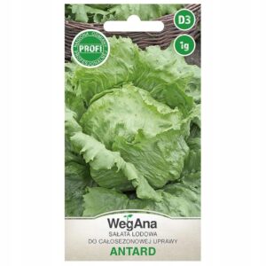 Nasiona Sałata lodowa Antrad 1 g Wegana odporna Nasiona Sałata lodowa Antrad 1 g Wegana odporna