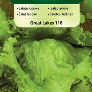 Nasiona Sałata lodowa krucha Great Lakes 1 g Vilmorin Nasiona Sałata lodowa krucha Great Lakes 1 g Vilmorin