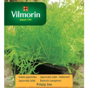 Nasiona Sałata japońska Frizzy Joe 0,5 g Vilmorin Gorczyca Sarepska Nasiona Sałata japońska Frizzy Joe 0,5 g Vilmorin Gorczyca Sarepska