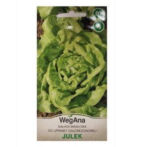Nasiona Sałata masłowa Julek 1 g Wegana średnio wczesna Nasiona Sałata masłowa Julek 1 g Wegana średnio wczesna