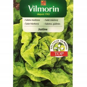 Nasiona Sałata masłowa Justine 0,5 g Vilmorin zimująca Nasiona Sałata masłowa Justine 0,5 g Vilmorin zimująca