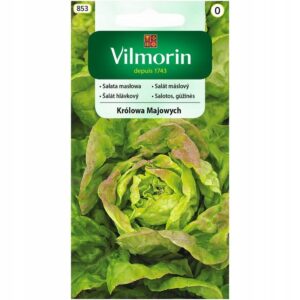 Nasiona Sałata masłowa Królowa Majowych 1g Vilmorin Nasiona Sałata masłowa Królowa Majowych 1g Vilmorin