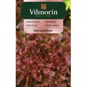 Nasiona Sałata liściowa czerwona Red Salad Bowl 1g Vilmorin Nasiona Sałata liściowa czerwona Red Salad Bowl 1g Vilmorin