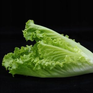 Nasiona Sałata rzymska Little Geem 0,5 g Vilmorin Nasiona Sałata rzymska Little Geem 0,5 g Vilmorin