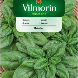 Nasiona Szpinak Matador 20 g Vilmorin uprawa całoroczna Nasiona Szpinak Matador 20 g Vilmorin uprawa całoroczna