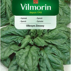 Nasiona Szpinak Olbrzymi Zimowy 20 g Vilmorin Nasiona Szpinak Olbrzymi Zimowy 20 g Vilmorin
