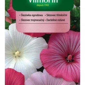Nasiona Ślazówka ogrodowa mix kolorów 1 g Vilmorin Nasiona Ślazówka ogrodowa mix kolorów 1 g Vilmorin
