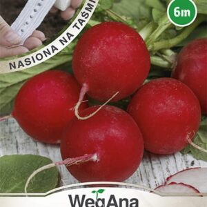 Nasiona na taśmie Rzodkiewka wczesna Carmesa 6 m Wegana Nasiona na taśmie Rzodkiewka wczesna Carmesa 6 m Wegana