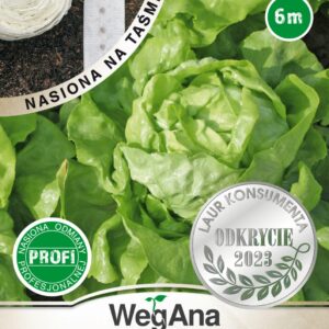 Nasiona na taśmie Sałata masłowa Alamer 6 m Wegana średnio wczesna Nasiona na taśmie Sałata masłowa Alamer 6 m Wegana średnio wczesna