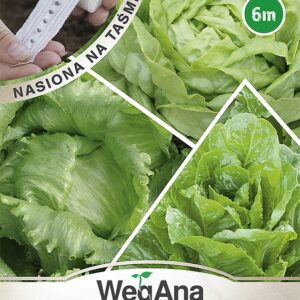 Nasiona na taśmie Sałata mix odmian 6 m Wegana średnio wczesna Nasiona na taśmie Sałata mix odmian 6 m Wegana średnio wczesna