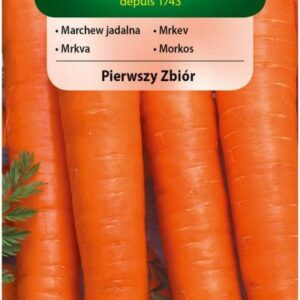 Nasiona Marchew Pierwszy zbiór 5 g Vilmorin Nasiona Marchew Pierwszy zbiór 5 g Vilmorin