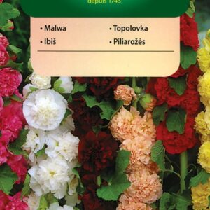 Nasiona Malwa Ogrodowa 1 g mix kolorów Vilmorin Nasiona Malwa Ogrodowa 1 g mix kolorów Vilmorin