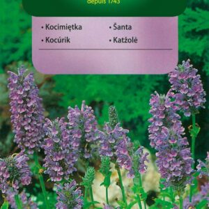 Nasiona Kocimiętka niebieska 0,5 g Vilmorin roślina odstraszająca komary Nasiona Kocimiętka niebieska 0,5 g Vilmorin roślina odstraszająca komary