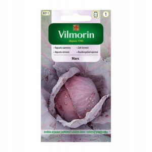 Nasiona Kapusta Mars czerwona 2 g Vilmorin Nasiona Kapusta Mars czerwona 2 g Vilmorin