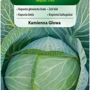 Nasiona Kapusta biała późna Kamienna Głowa 2 g Vilmorin Nasiona Kapusta biała późna Kamienna Głowa 2 g Vilmorin