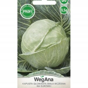 Nasiona Kapusta biała wczesna Hornet 0,5 g F1 Wegana Nasiona Kapusta biała wczesna Hornet 0,5 g F1 Wegana