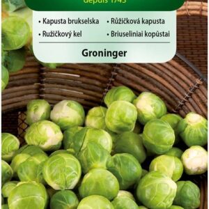 Nasiona Kapusta Brukselka Groninger 2g Vilmorin Nasiona Kapusta Brukselka Groninger 2g Vilmorin