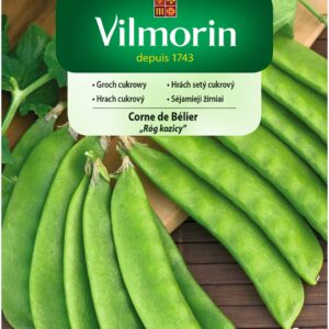 Nasiona Groch Corne 40 g Róg Kozicy słodki Vilmorin Nasiona Groch Corne 40 g Róg Kozicy słodki Vilmorin