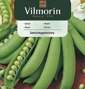 Nasiona Groch 6-tyg. 40 g szcześciotygodniowy wczesny Vilmorin Nasiona Groch 6-tyg. 40 g szcześciotygodniowy wczesny Vilmorin