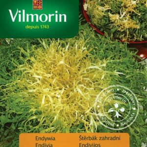 Nasiona Endywia Tosca 0,5g Vilmorin Nasiona Endywia Tosca 0,5g Vilmorin