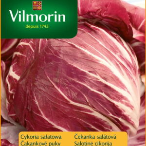 Nasiona Cykoria sałatowa Rouge de Verone 0,5 g Vilmorin Wyprzedaż Nasiona Cykoria sałatowa Rouge de Verone 0,5 g Vilmorin Wyprzedaż
