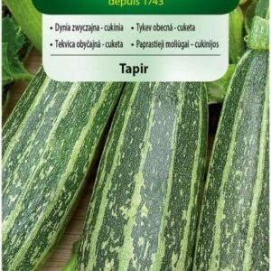 Nasiona Cukinia zielona Tapir 2 g Vilmorin Nasiona Cukinia zielona Tapir 2 g Vilmorin