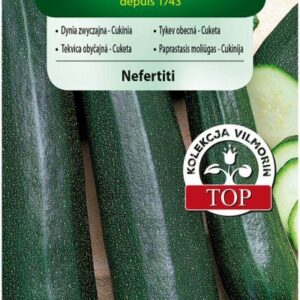 Nasiona Cukinia zielona Nefertiti 3 g Vilmorin Nasiona Cukinia zielona Nefertiti 3 g Vilmorin