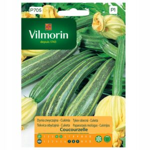 Nasiona Cukinia zielona Coucourzelle 2g Vilmorin Nasiona Cukinia zielona Coucourzelle 2g Vilmorin