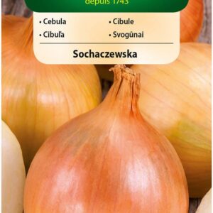 Nasiona Cebula żółta Sochaczewska 5 g Vilmorin Nasiona Cebula żółta Sochaczewska 5 g Vilmorin