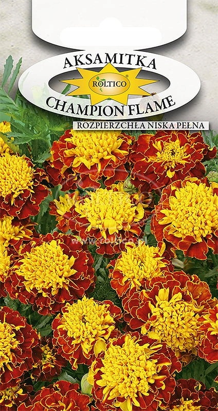 Nasiona Aksamitka Champion flame 0,3 g Roltico Nasiona Aksamitka Champion flame 0,3 g Roltico