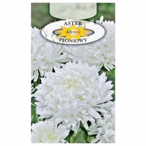 Nasiona Aster chiński peoniowy biały 1 g Roltico Nasiona Aster chiński peoniowy biały 1 g Roltico
