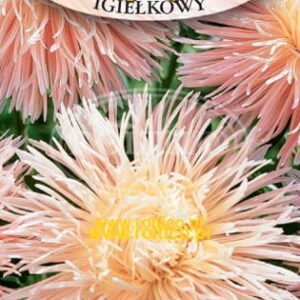 Nasiona Aster igiełkowy Łososiowy 1 g Roltico Nasiona Aster igiełkowy Łososiowy 1 g Roltico