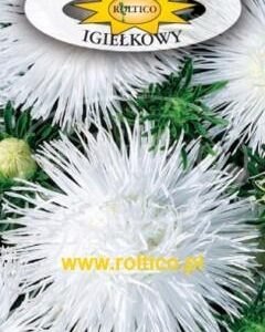 Nasiona Aster igiełkowy biały 1 g Roltico Nasiona Aster igiełkowy biały 1 g Roltico