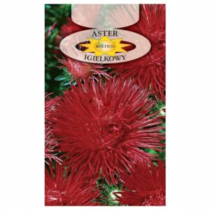 Nasiona Aster igiełkowy czerwony 1 g Roltico Nasiona Aster igiełkowy czerwony 1 g Roltico