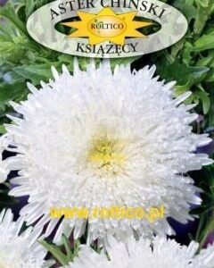 Nasiona Aster książęcy Biały 1 g Roltico Nasiona Aster książęcy Biały 1 g Roltico