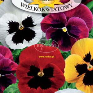 Nasiona Bartek 0,5 g mix kolorów Roltico nasiona kwiatów Nasiona Bartek 0,5 g mix kolorów Roltico nasiona kwiatów