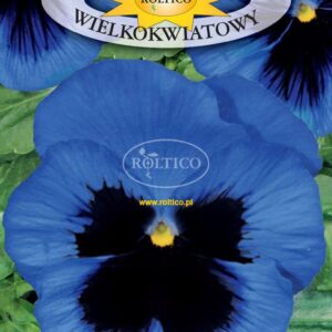 Nasiona Bartek 0,5 g niebieski z plamą Roltico nasiona kwiatów Nasiona Bartek 0,5 g niebieski z plamą Roltico nasiona kwiatów